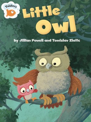 cover image of Little Owl